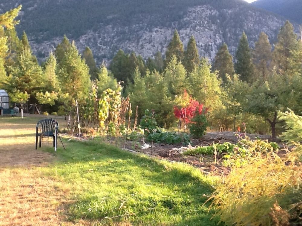 Mountainview Bed & Breakfast Invermere Luaran gambar